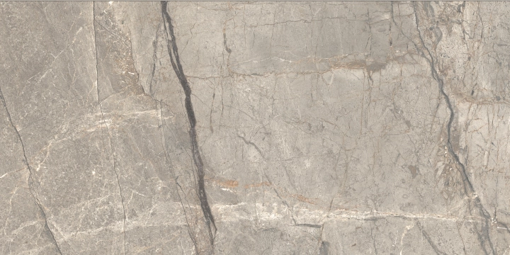 Caesar Anima Futura Amazing Silver 60x120 - płytka imitująca marmur