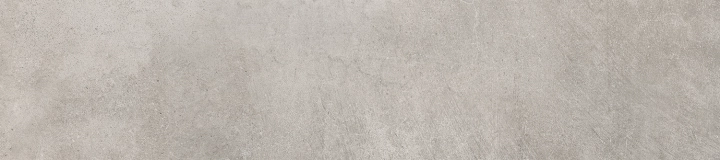 Caesar I. Rule 20x80 - płytka imitująca beton