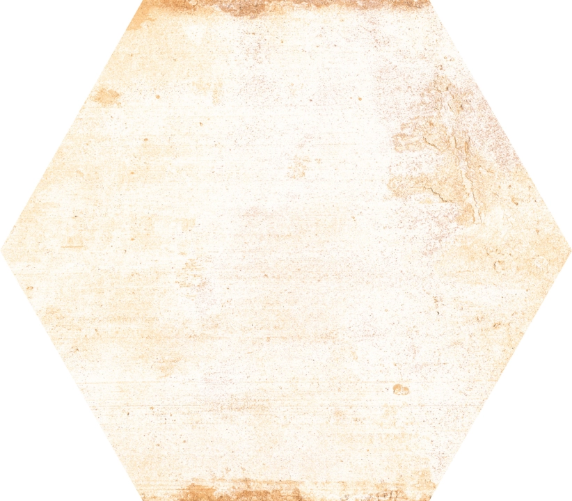 1cae14ff66fa704a1ddaa1ab037b9e38