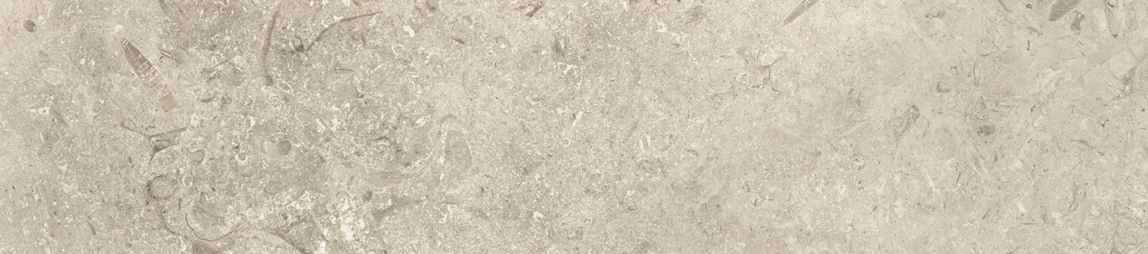 158ecb571c7b43ac51d008deb16135b5