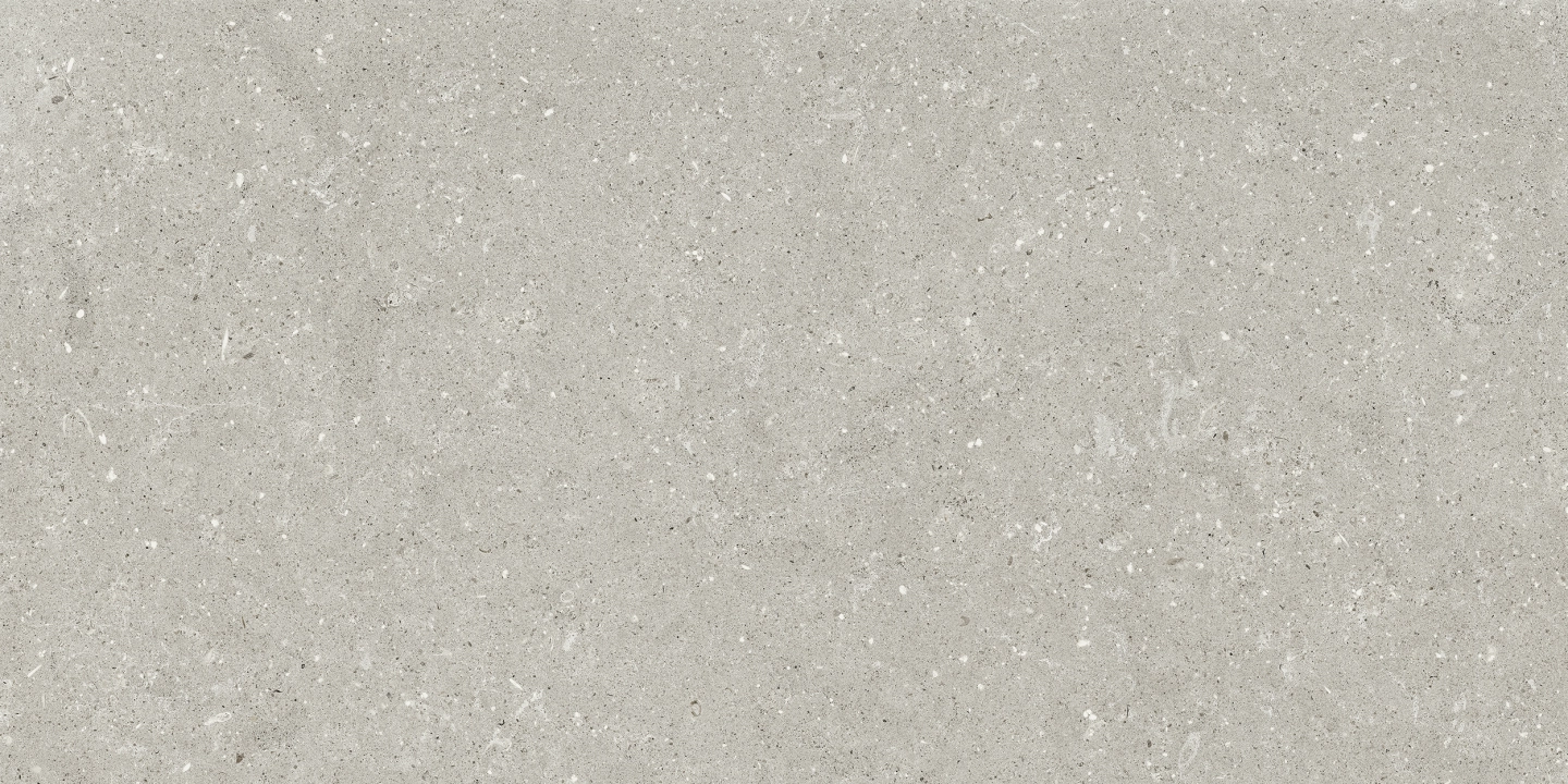 Delconca Wild Grey antypoślizgowa 60x120 - płytka imitująca kamień