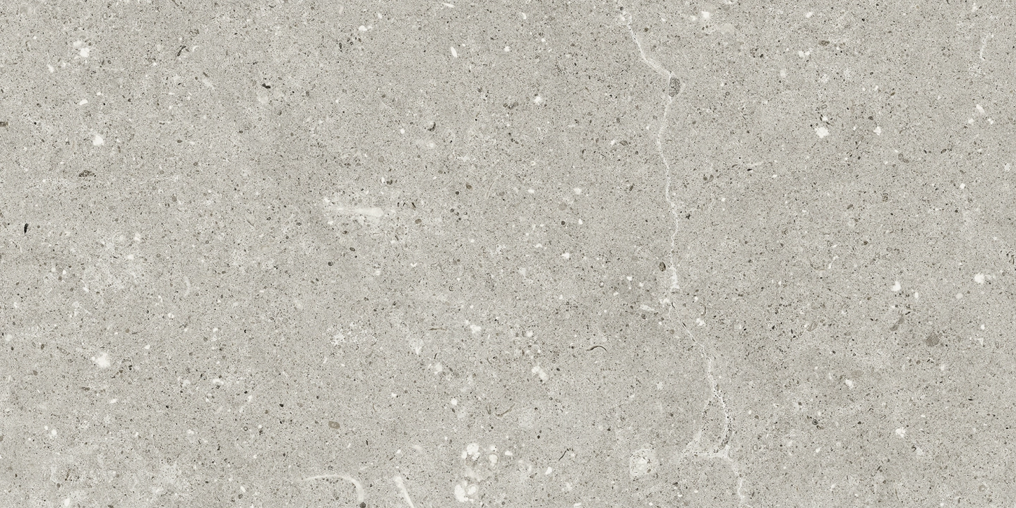 Delconca Wild Grey antypoślizgowa 30x60 - płytka imitująca kamień