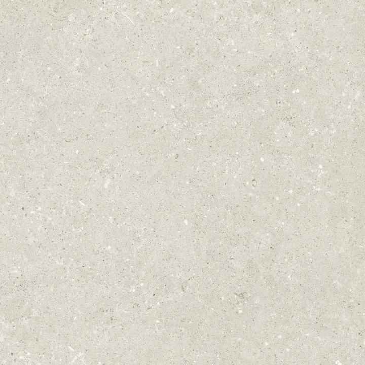 Delconca Wild White podwyższona odporność 60x60 - płytka imitująca kamień