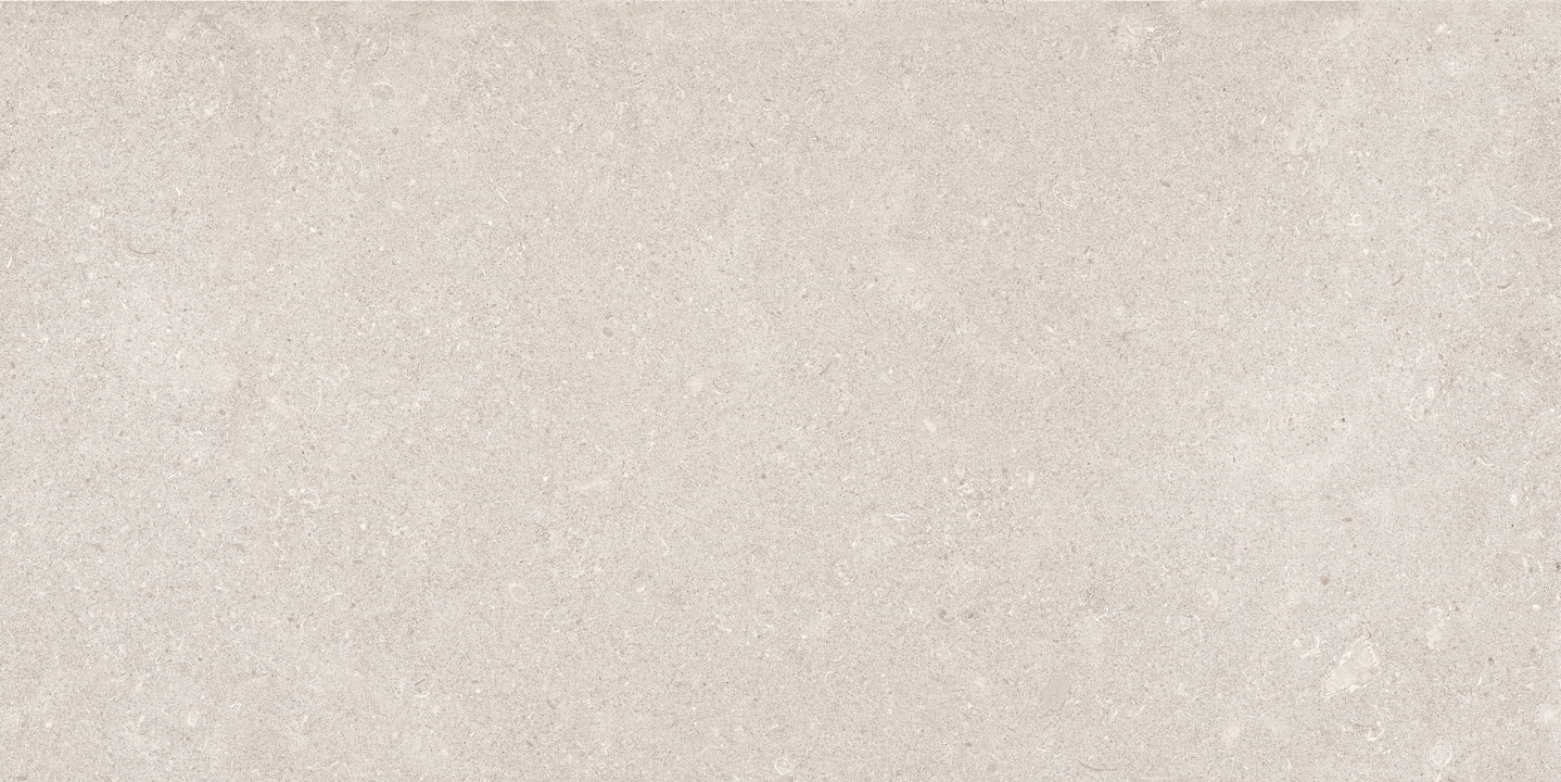 Emil Mapierre Gris Noble naturalna 60x120 - płytka imitująca kamień