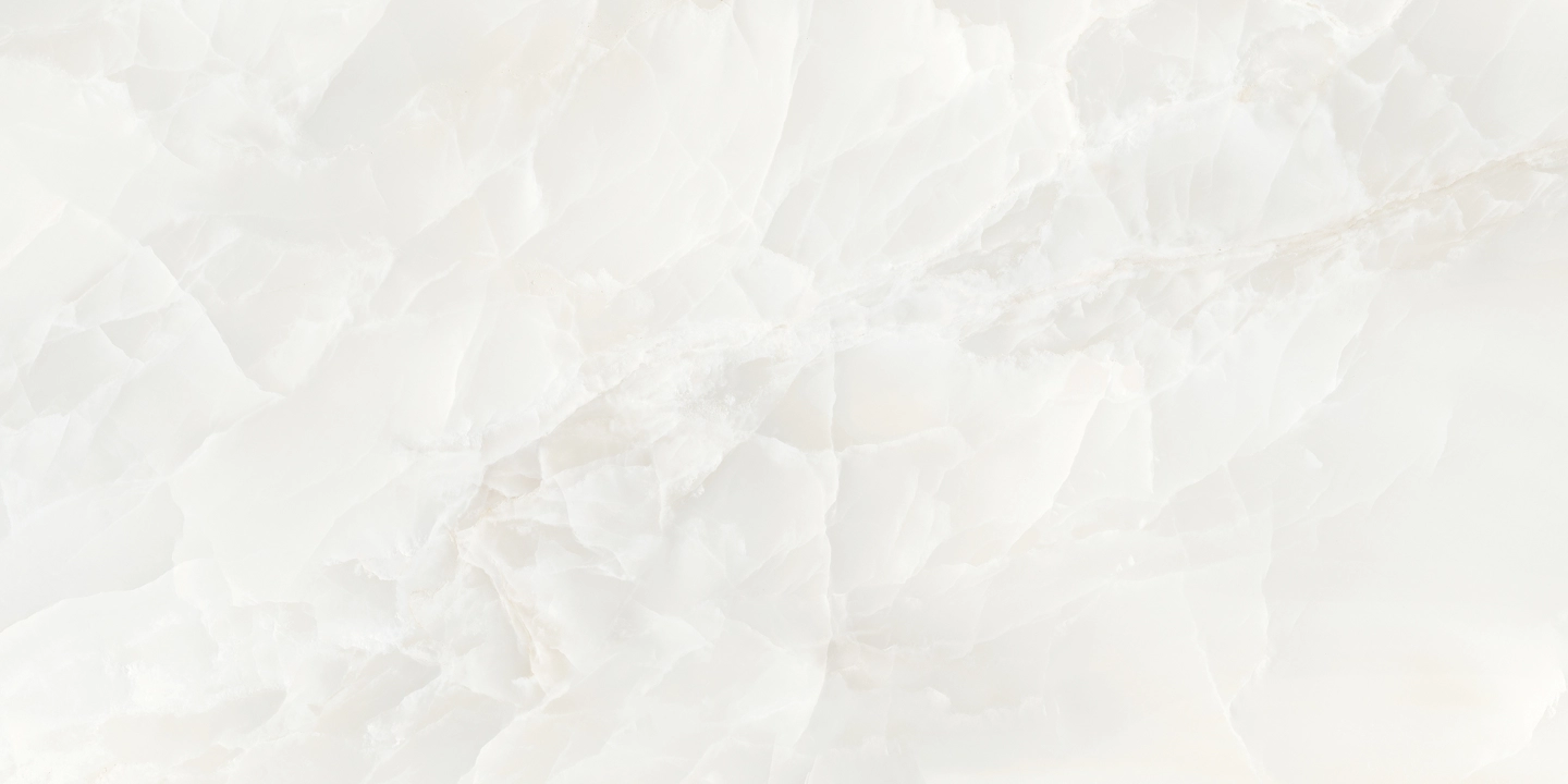 f74df1ab8e1b8c0c5920c854981b8e03