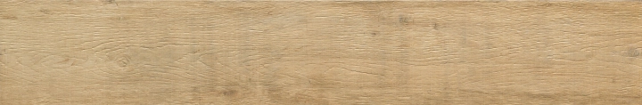 10e0d5505ef686d3fd7fa081e1025be4