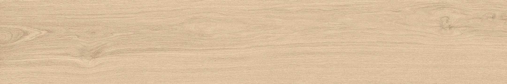 6558949ce9e1df64bc40838a2366a480
