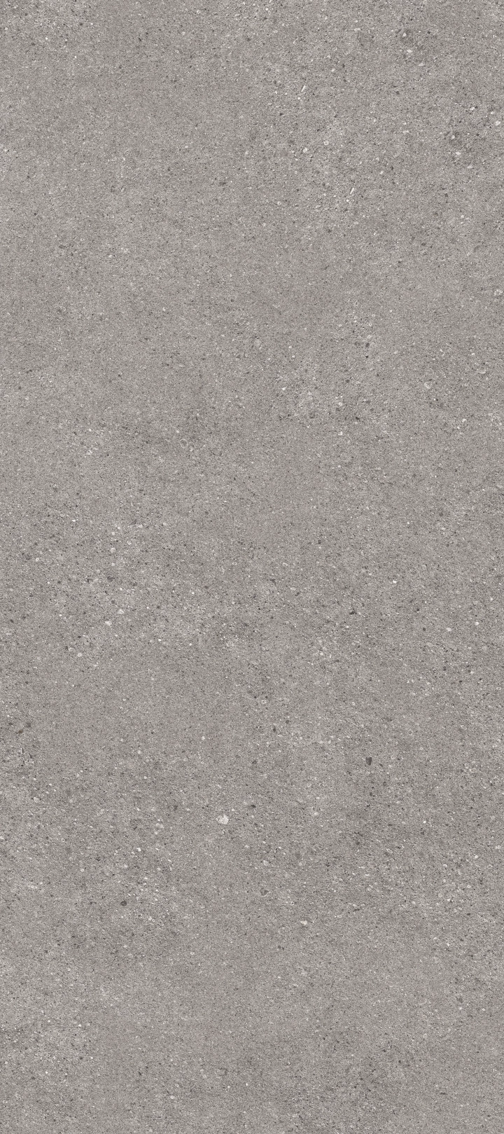 0350c5d4a64197169fd50614441c1a9d