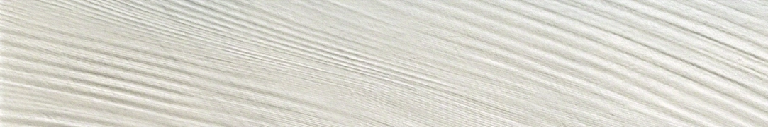 10e1fba8a638e6f91d01cc5958a2e454