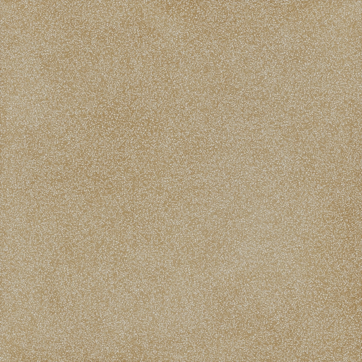 17263705dd94972826fd365ca746325f