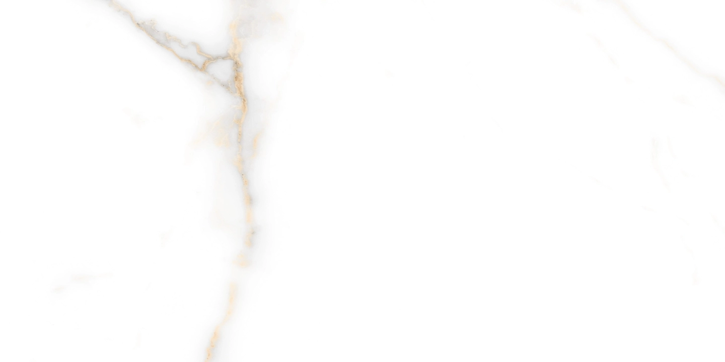 b073e6c80b30f3dcafc53d50984983bf