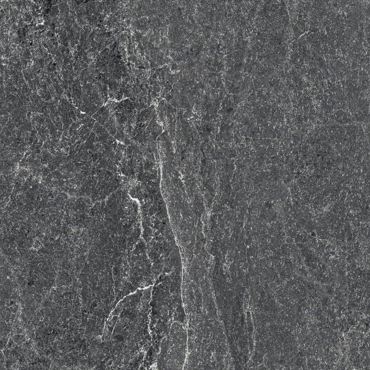 d081990748d17f8b2cbd4b332273b5dc