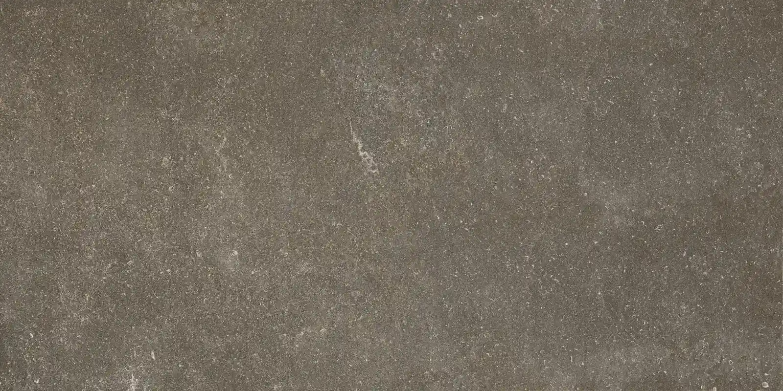 f36a7d070b2fdca00fc2a6d491b2aaf8