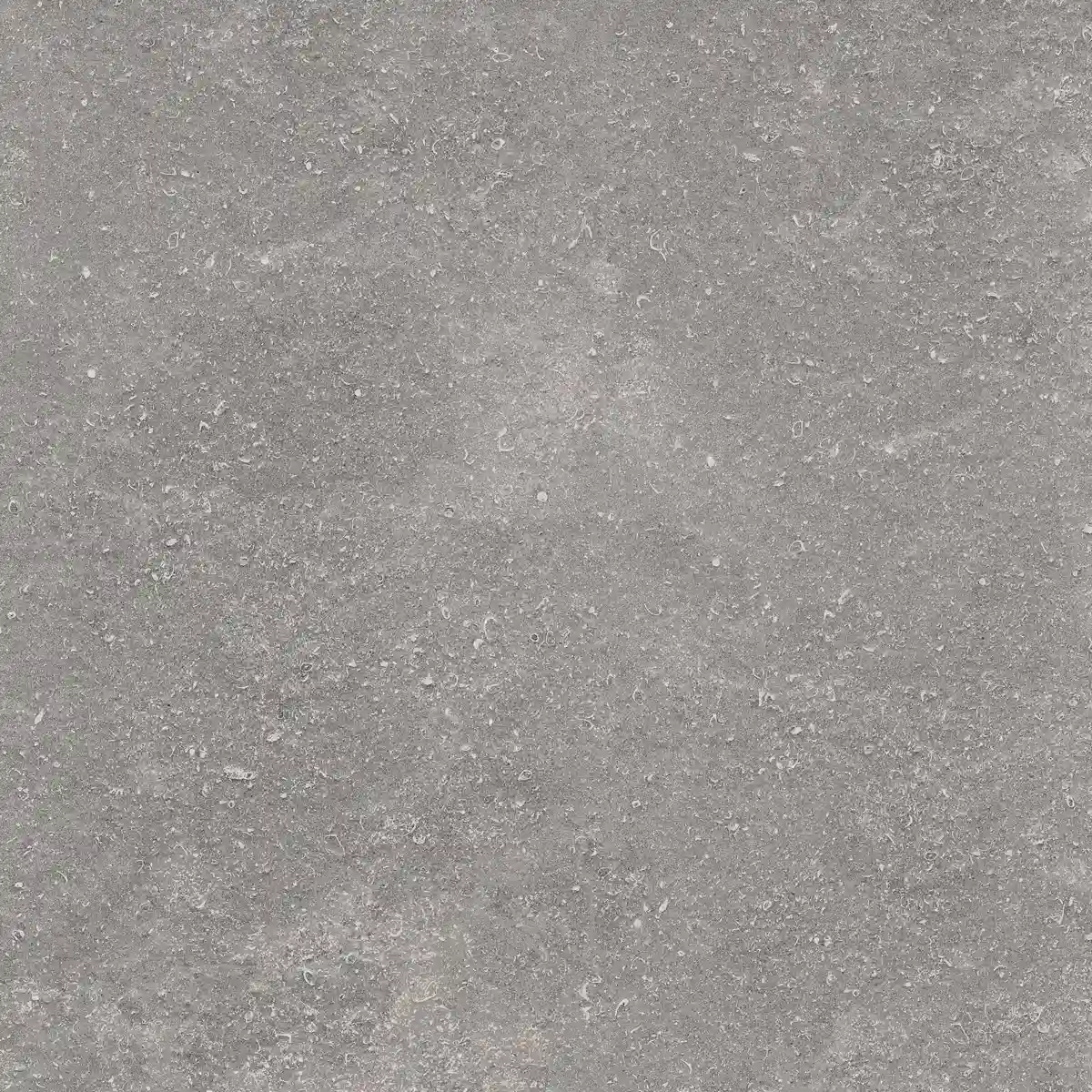 8cc6434c10bb8f5aaf806f75951fef8d