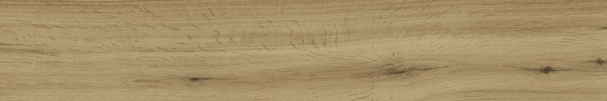 9f68cded8e3bde6a3523c63c9b041250