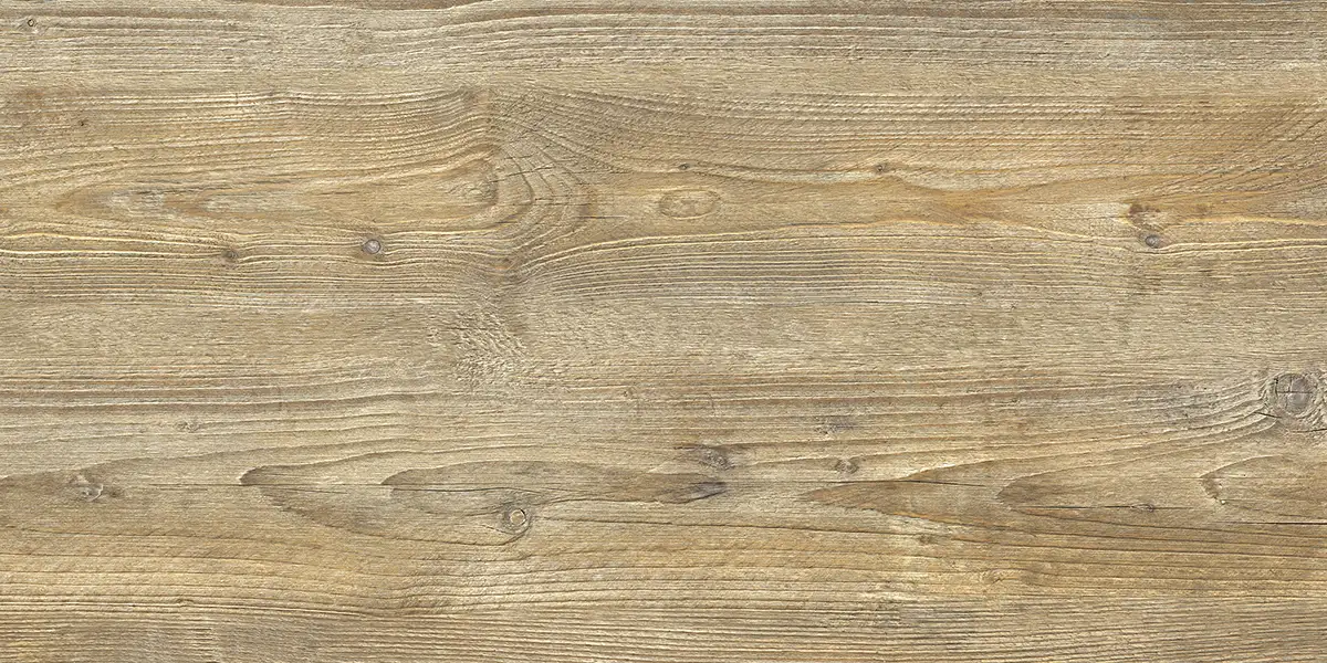 187e8666ea1fab52cb56e45b23acb0f7