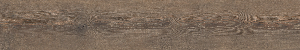 a14ab46a2839197e41f02024428c9091