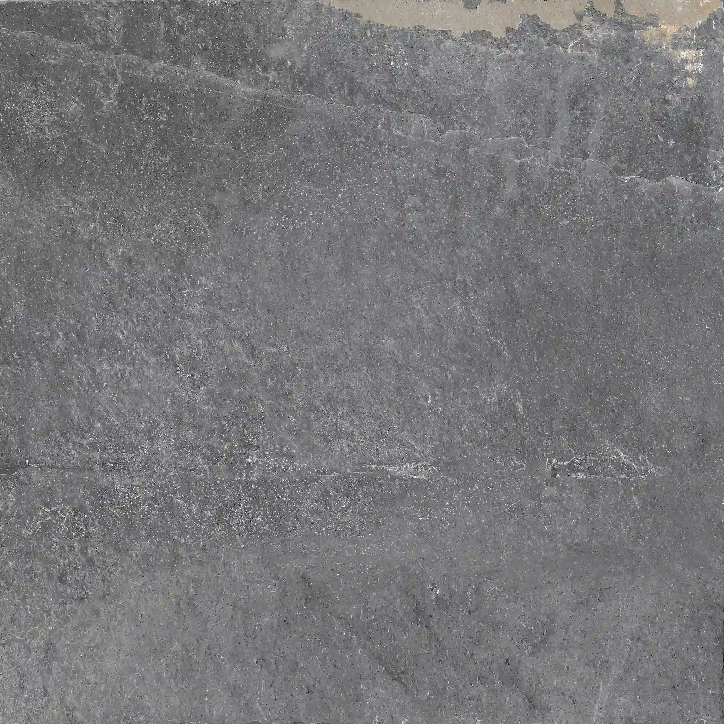 e47e61e970161fbf4281762ab36a3edd