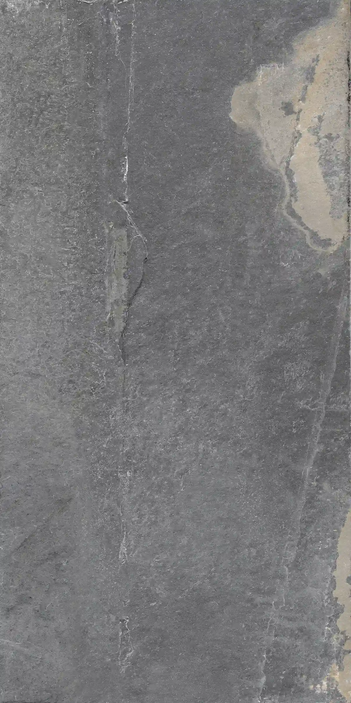 933ced761a7736e18c848f2af31dffec