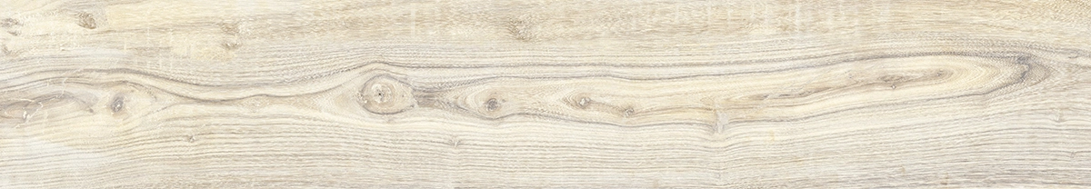 021590ccd1f2ae32ba46bd85201bde6b