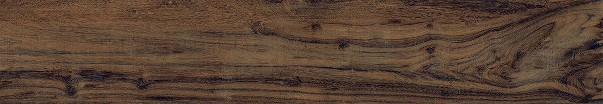 d9b9b832a2869ea0e4b0f678646fc079