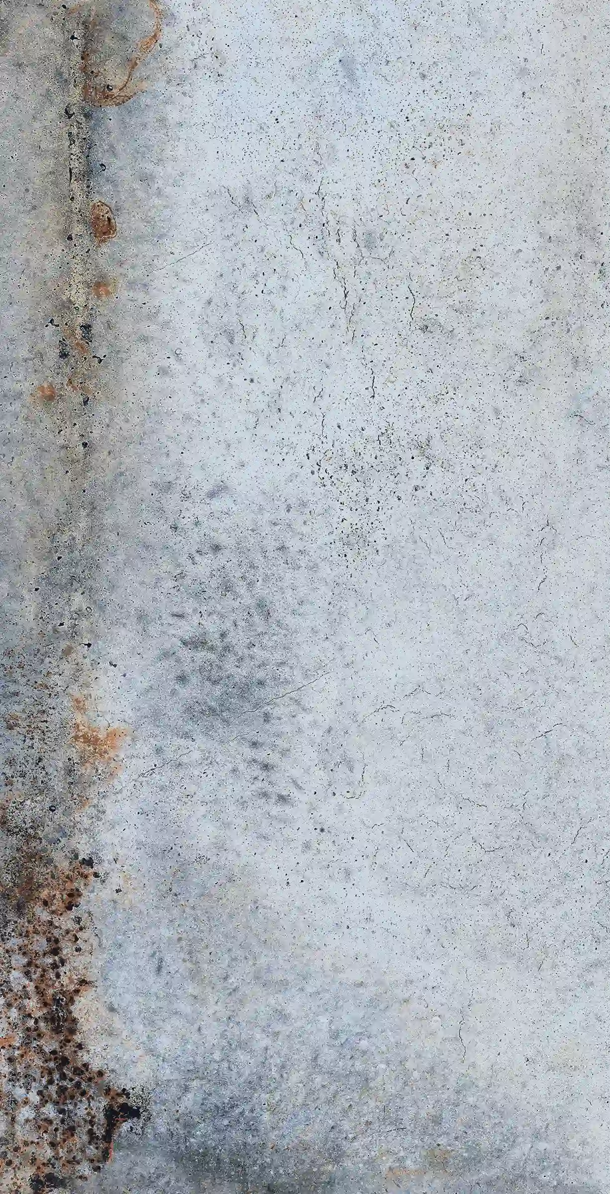 8e55f4779b71b858c5e753d8df6f0c46