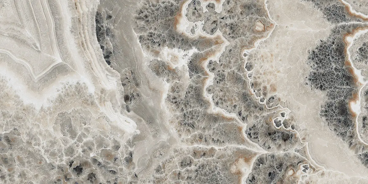 8213abef58015fc280d2592eba3fc36a