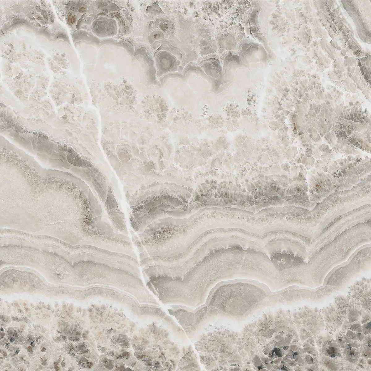 8441d60dd805217f1209c36876de574d