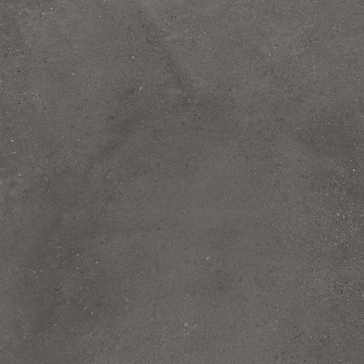 c2c305444aac2e0bc118c3aeeb98c358