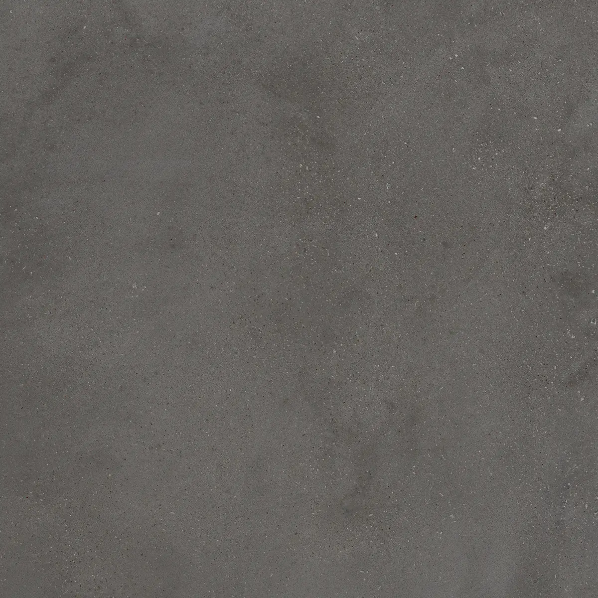 5b2e8de20b613c9131e79a732c724004