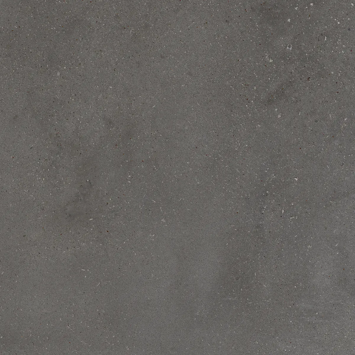 60f6031fe5eee677573d06920a6861fd