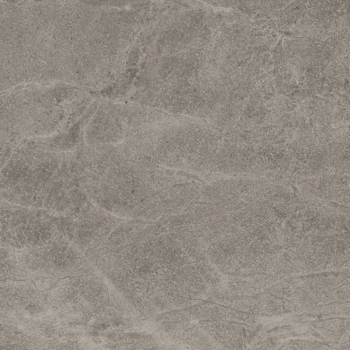 d5b495f8c0f03de988a741fef5c90ea5