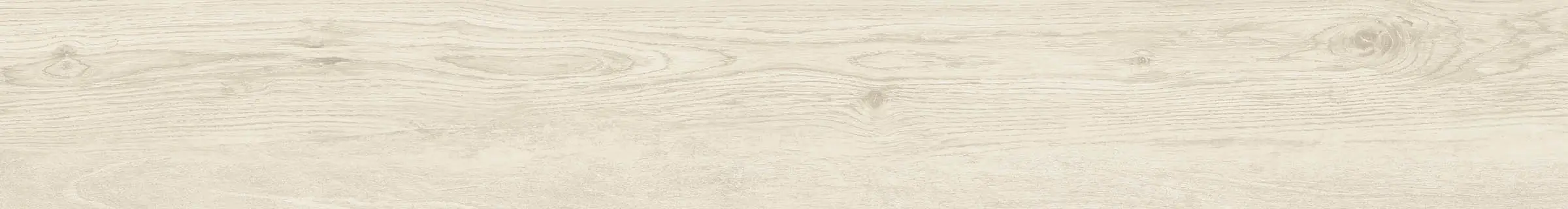 4f083549c63a5f3a663a81ad18abb7f5