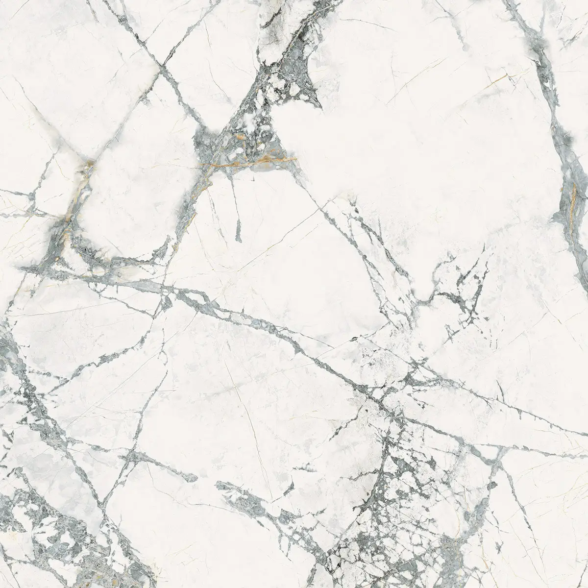 607c8d7354754d14c92ceb65d6bc299a