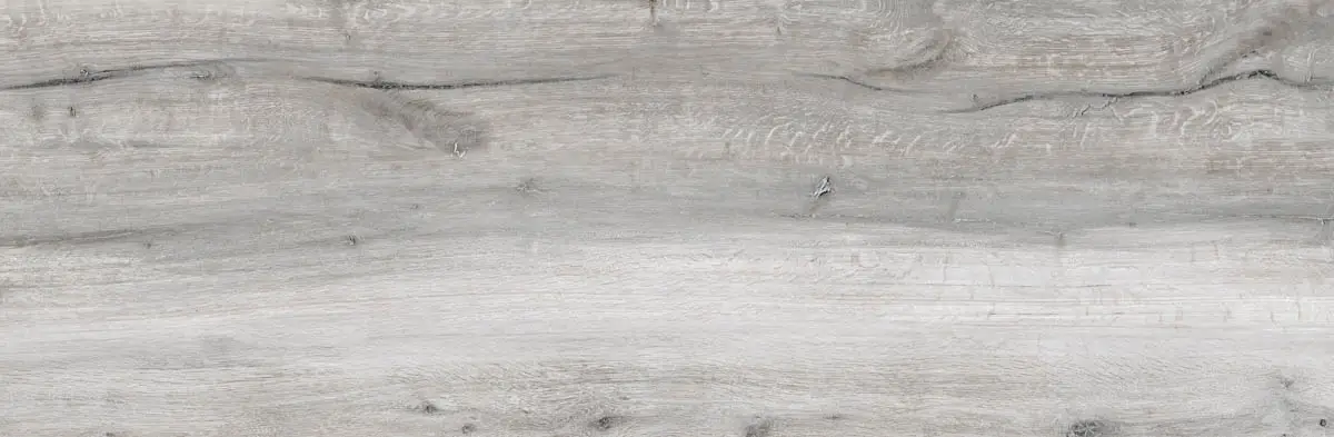 81332291f157514f2fd5ae3e77cef9e5