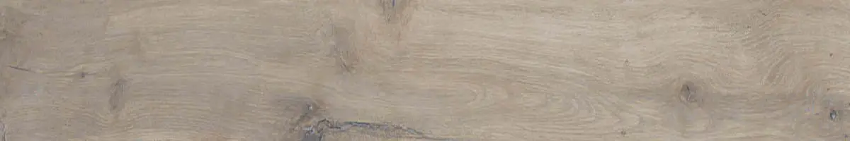 68e94bea6adfc4478a6884c8229ee389