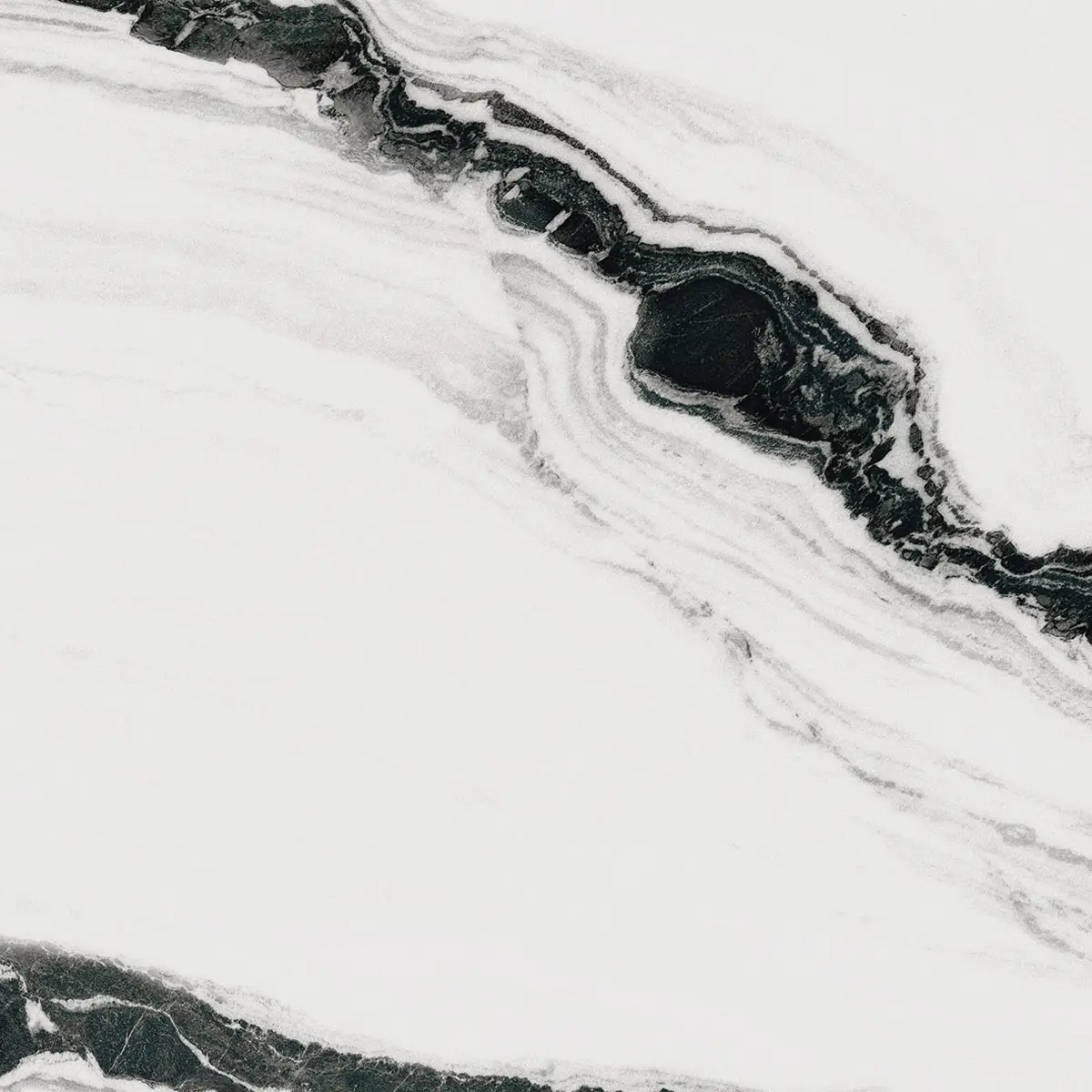 656a01fc877c49e8c8125e01c4f23a71